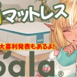 【#コアラマットレス】私の愛用マットレス！なんと案件を頂きました！【不知火フレア/ホロライブ】《Flare Ch. 不知火フレア》
