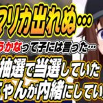 【ホロライブ切り抜き/ときのそら】実は最初の抽選でswitch2当選していたそらちゃんが内緒にしていた優しい理由とそらちゃんの部屋に出た虫との闘いを明かす