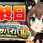 【#ホロ金策サバイバル 】最終日💰ギャンブルで大逆転しかないんだ！【ホロライブ/夏色まつり】《Matsuri Channel 夏色まつり》