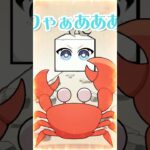 【悟り】豆腐って人生なんだ #スゴイツヨイトウフ #名言《甲斐田 晴 / Kaida Haru【にじさんじ】》