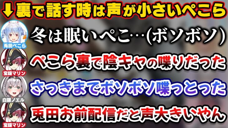 裏ではボソボソと陰キャ喋りだったのに配信では声が大きくなることをバラされるぺこら【ホロライブ切り抜き/宝鐘マリン/兎田ぺこら/白銀ノエル/不知火フレア/3期生】