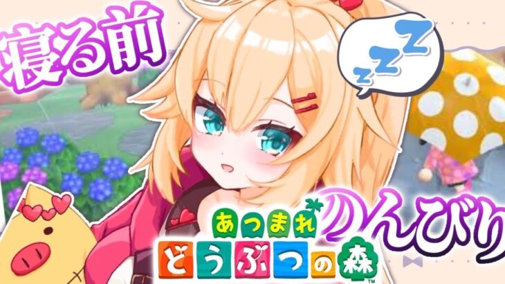 【あつまれ どうぶつの森】0からスローライフ！のんびり島暮らし！✨【ホロライブ/赤井はあと】《HAACHAMA Ch 赤井はあと》