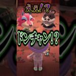 どうぶつの森で修羅場！？アルス劇場【アルス・アルマル/にじさんじ】#shorts《アルス・アルマル -ars almal- 【にじさんじ】》