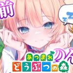 【あつまれ どうぶつの森】0からスローライフ！今日は海に潜るっ！✨【ホロライブ/赤井はあと】《HAACHAMA Ch 赤井はあと》