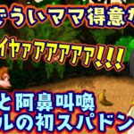 【大空スバル】のプレイする【スーパードンキーコング】、ギミックを通るたびに奇声がやばすぎるｗｗ【ホロライブ/切り抜き】